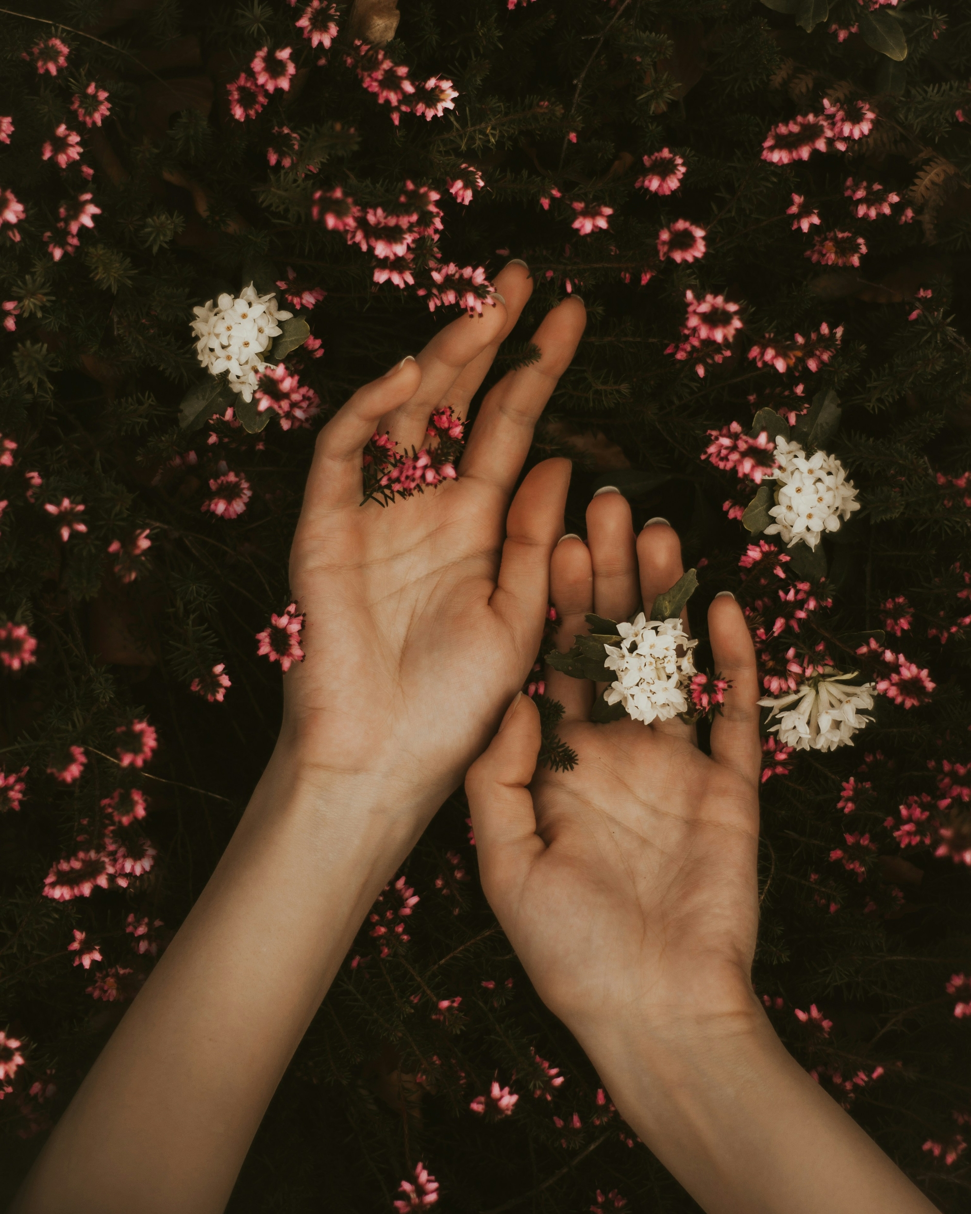 milan popovic etgfpzydv2e unsplash
