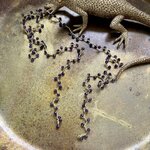 Collier cravate en améthystes - fait main
