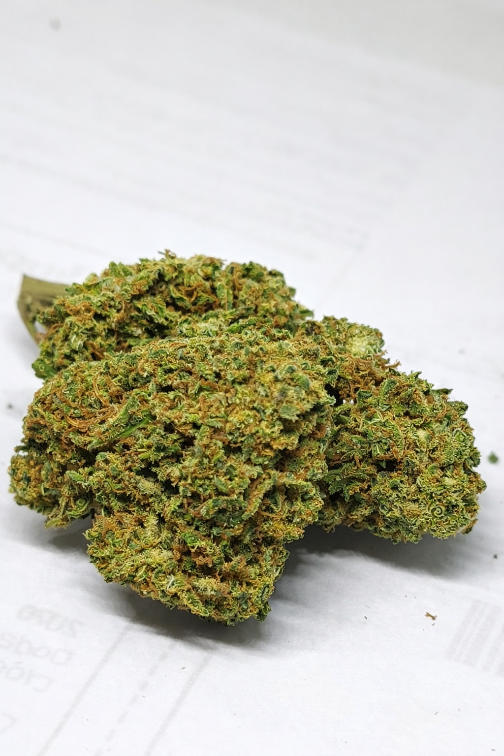fleurs-cbd-greenhouse-remedy