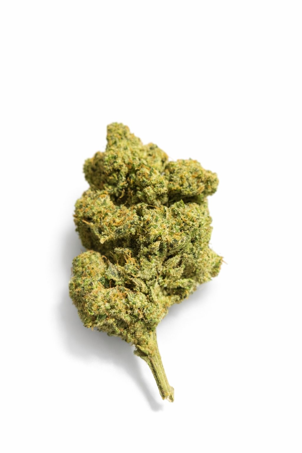 fleur-amnesia-og-cbd