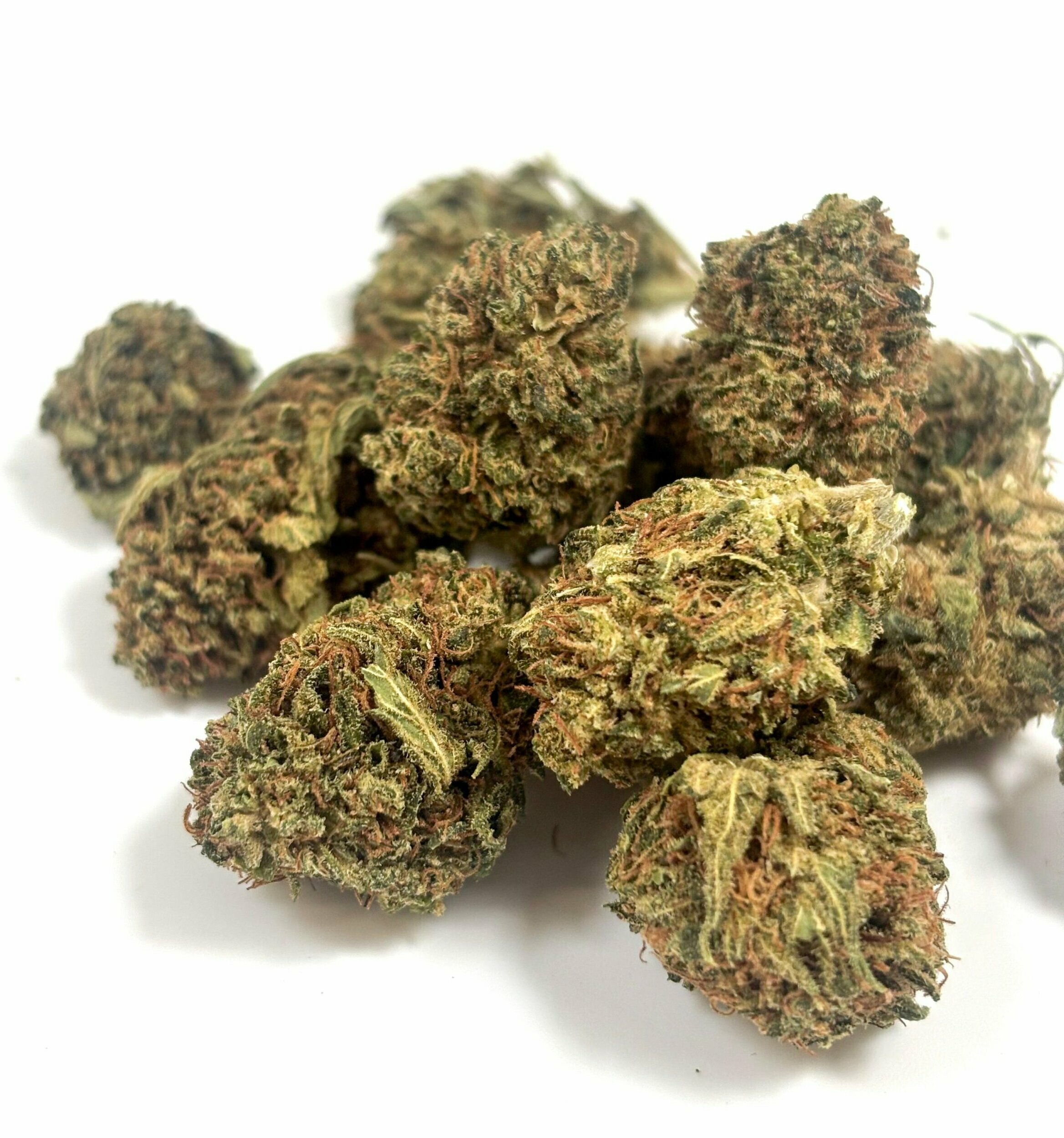 cheesy-runtz-small-bud-1er-prix