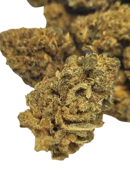 brown-sugar-cbd-photo-principale-1