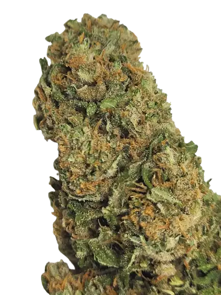 diamond-og-photo-principale-1