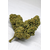 fleurs-cbd-peach-greenhouse