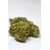 fleurs-cbd-greenhouse-remedy