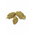 fleurs-buddah-cheese-cbd