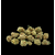 zkittles-hydro-hce-powerx-hcg-thcx