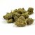 banana-kush-small-bud-indoor