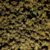 pop-corn-fleurs-1er-prix-photo-principale-1