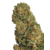 diamond-og-photo-principale-1