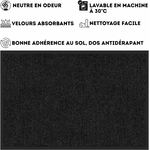 81ORi0VZ4eL._AC_SL1500_