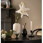519hgPr8tvL._AC_SL1031_