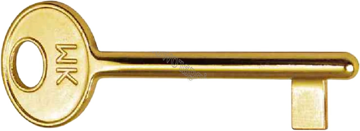 51WLfrANGjL._AC_SL1500_