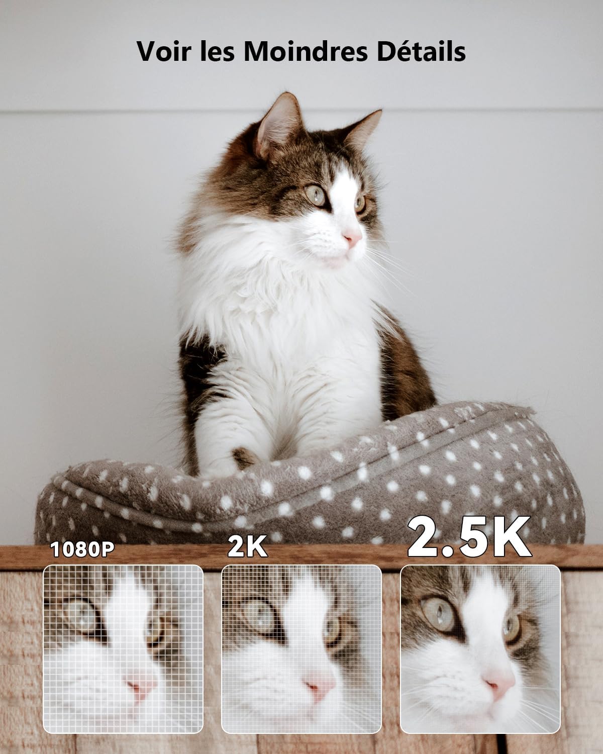 71Oh9AzprXL._AC_SL1500_