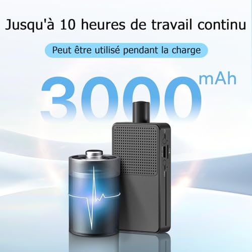 41q58ERNUhL._SL500_