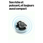 31wcB-vah6L._SL500_