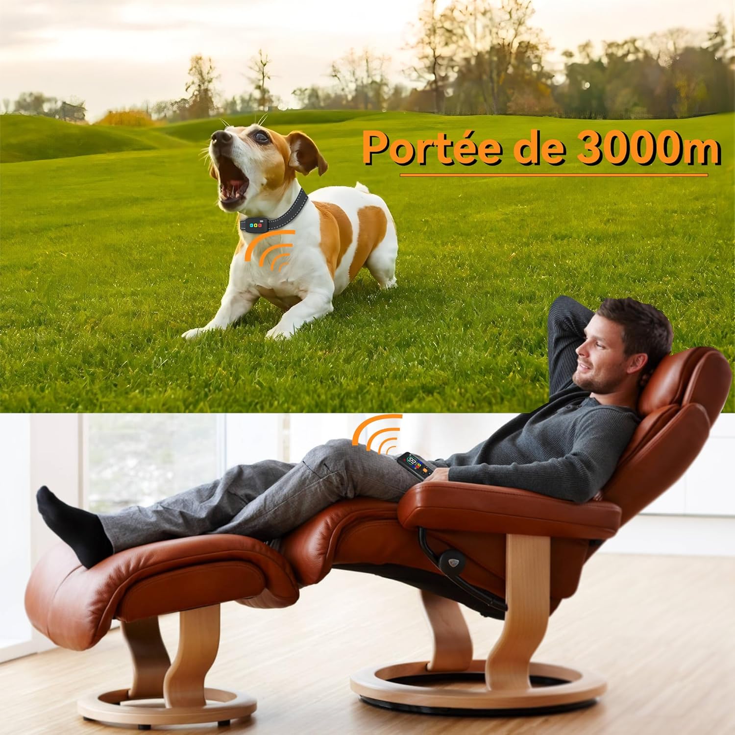 810gn4kkwVL._AC_SL1500_