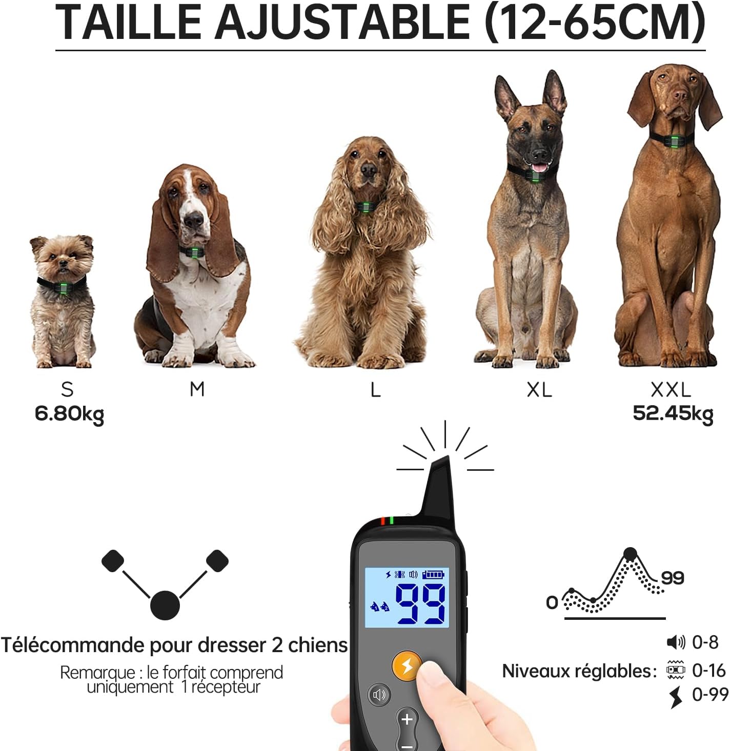 71dY0a3eQ2L._AC_SL1500_
