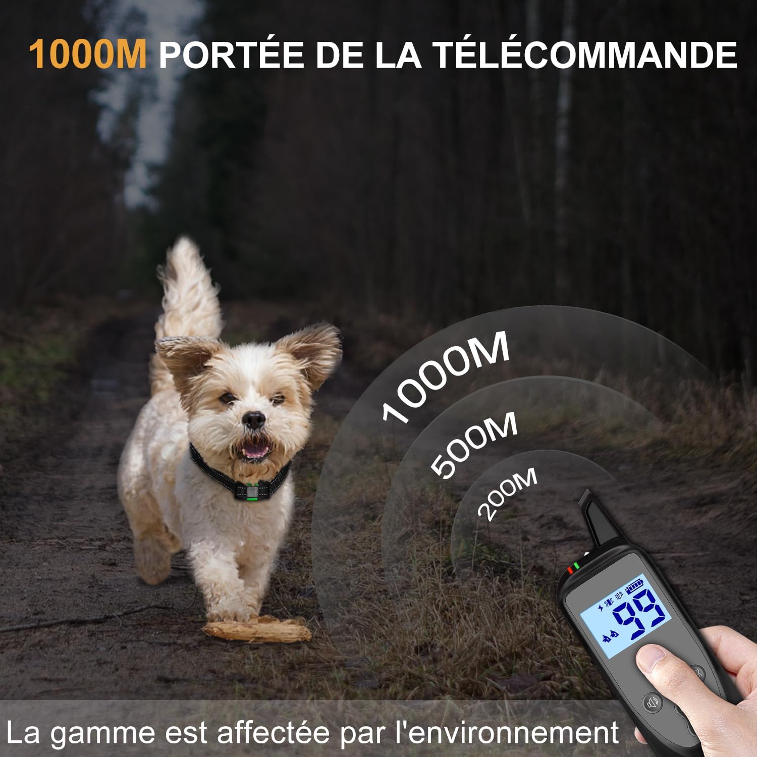 710GQ154MGL._AC_SL1500_