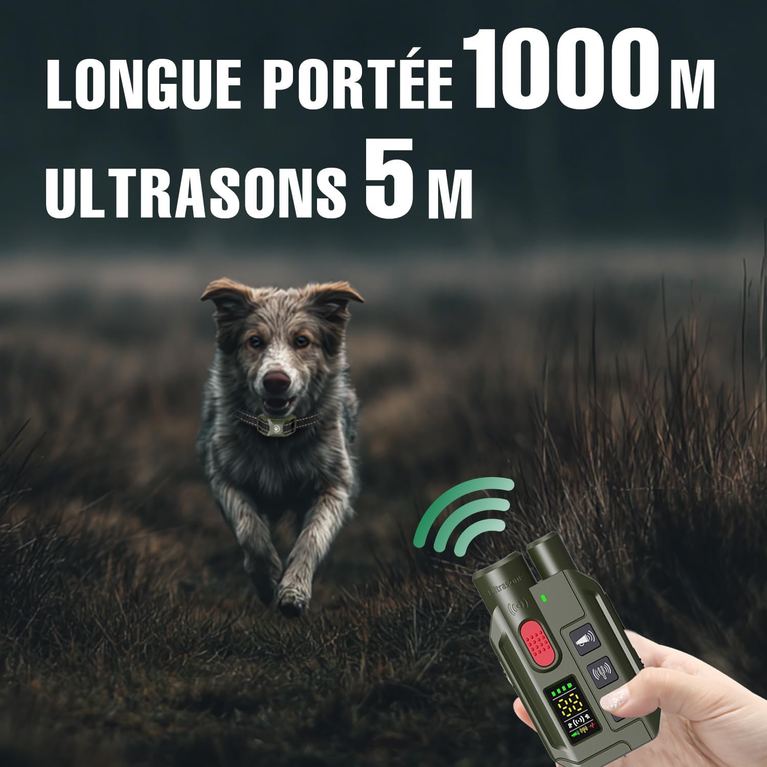 71WJgrbu-nL._AC_SL1500_