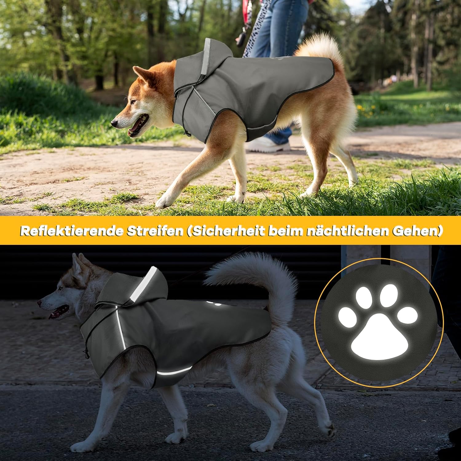 81+1IzhiNDL._AC_SL1500_