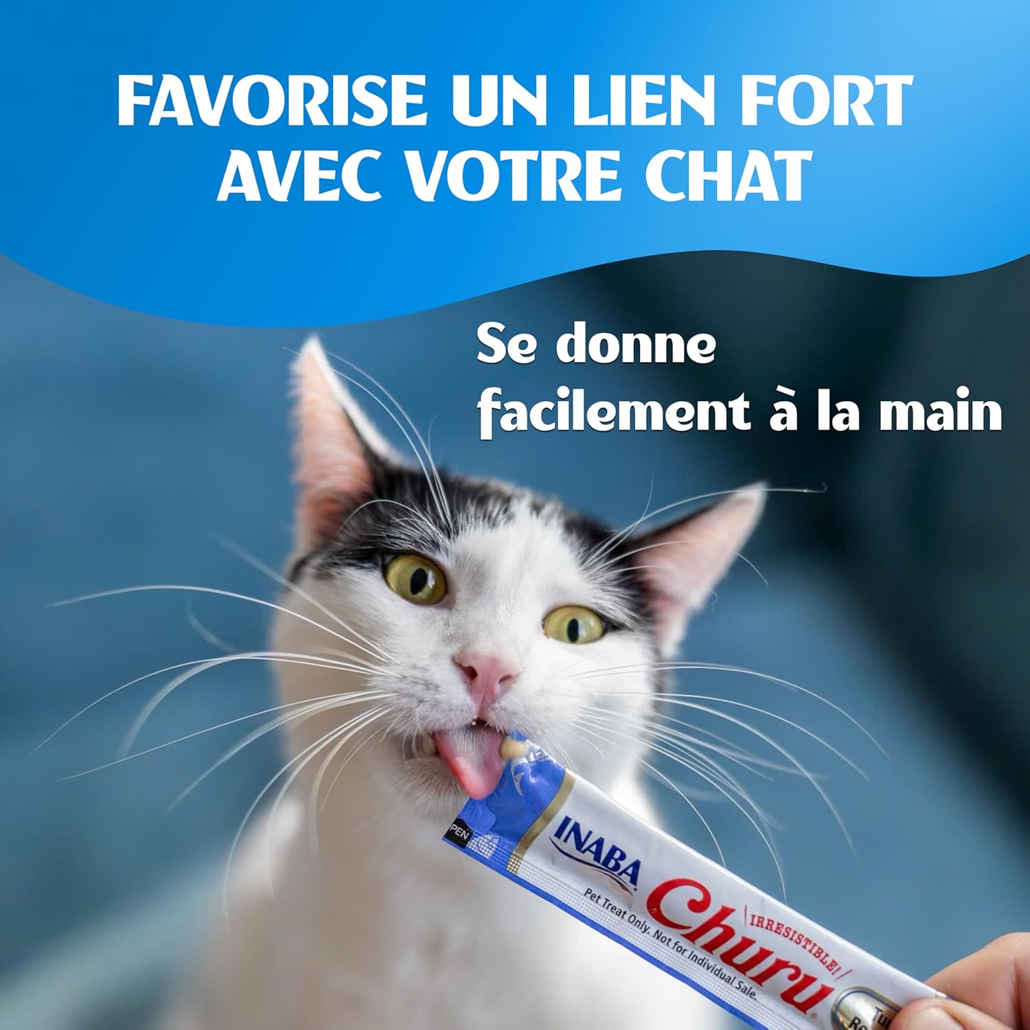 81OuC8CrqcL._AC_SL1500_