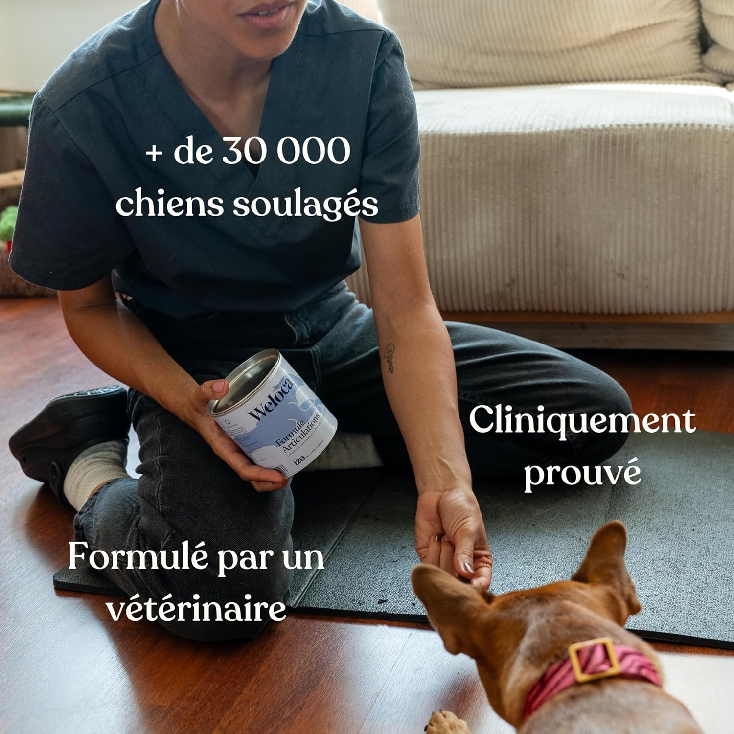 81SMJQGjrqL._AC_SL1500_