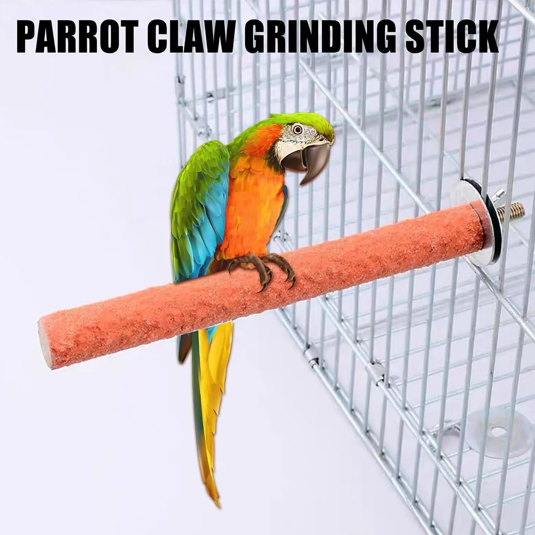 61lzEEwnsxL._AC_SL1100_