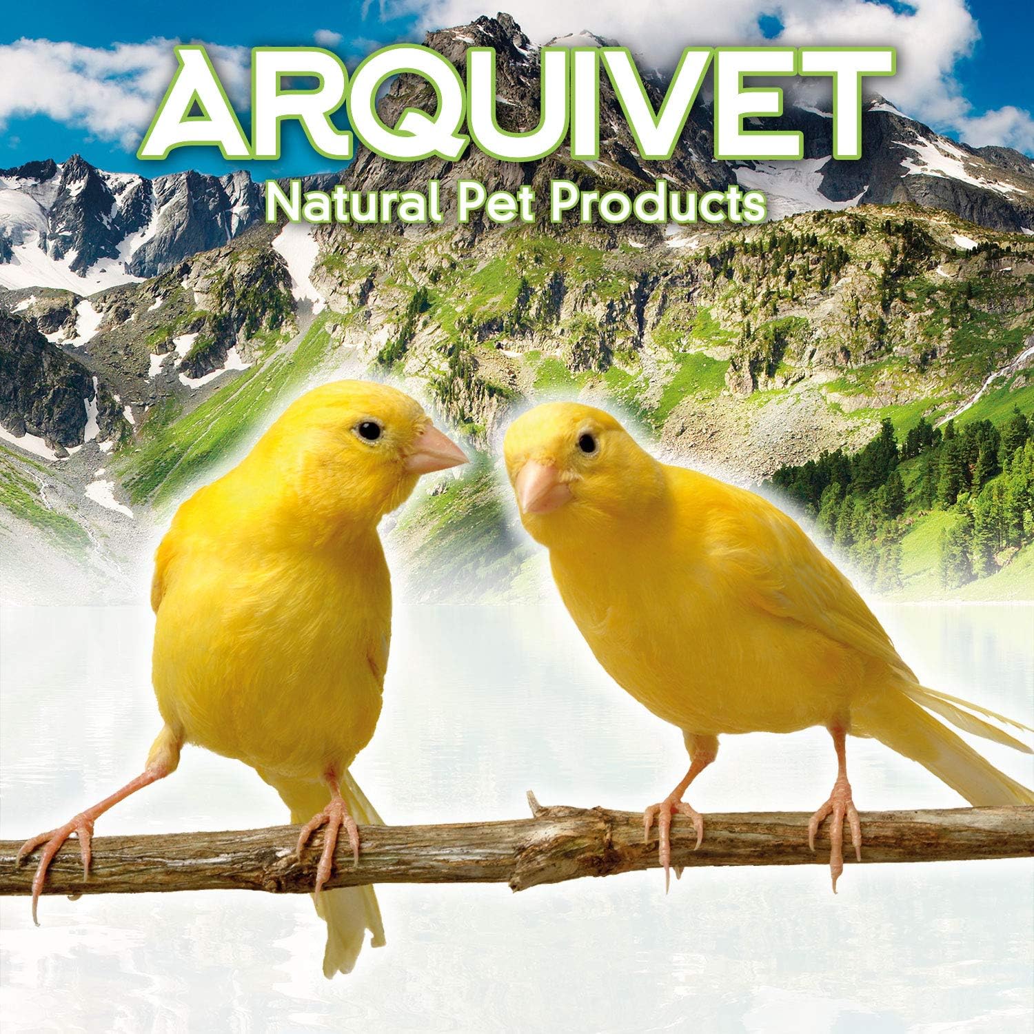 817ADtgx9mL._AC_SL1500_