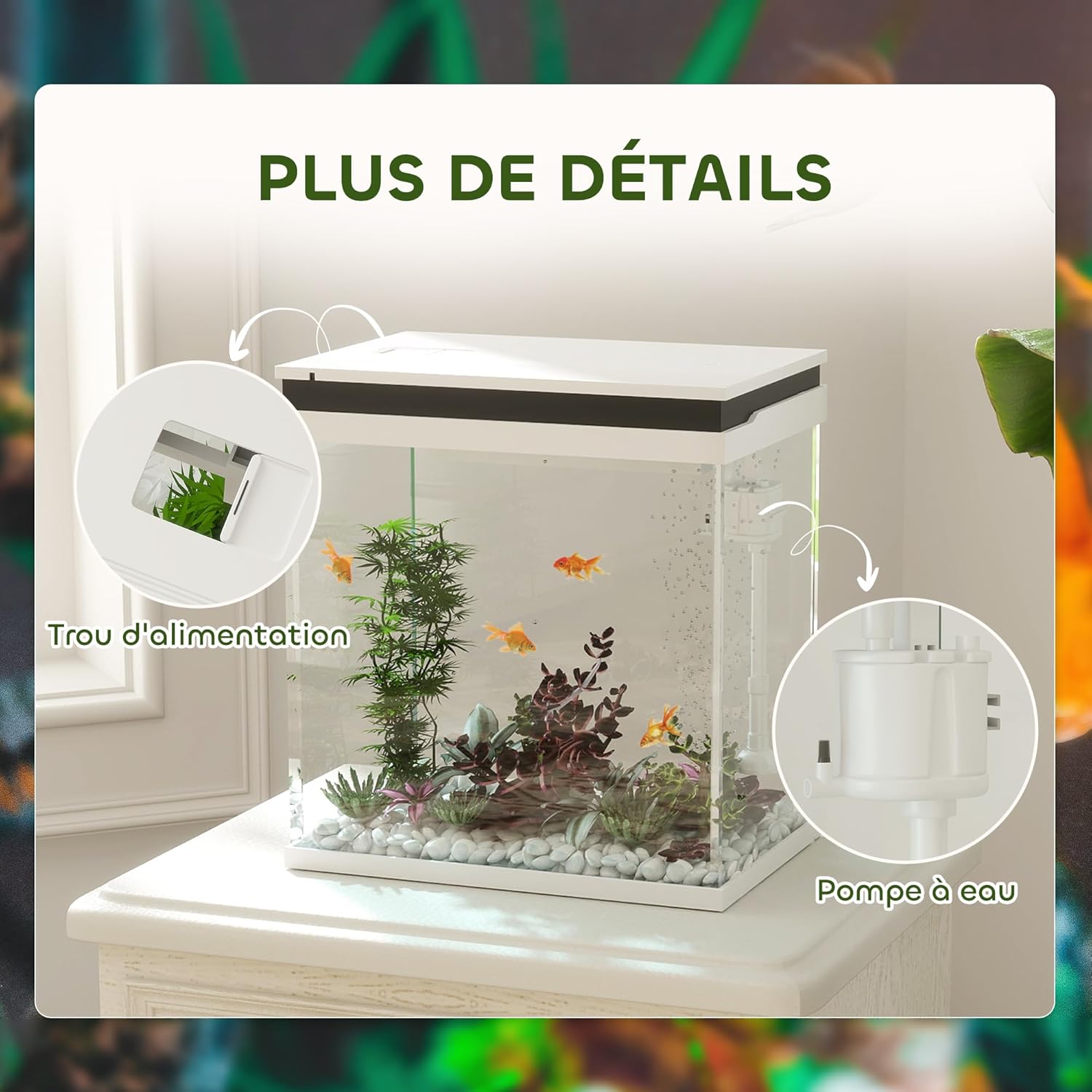 71FMfS8l8rL._AC_SL1500_