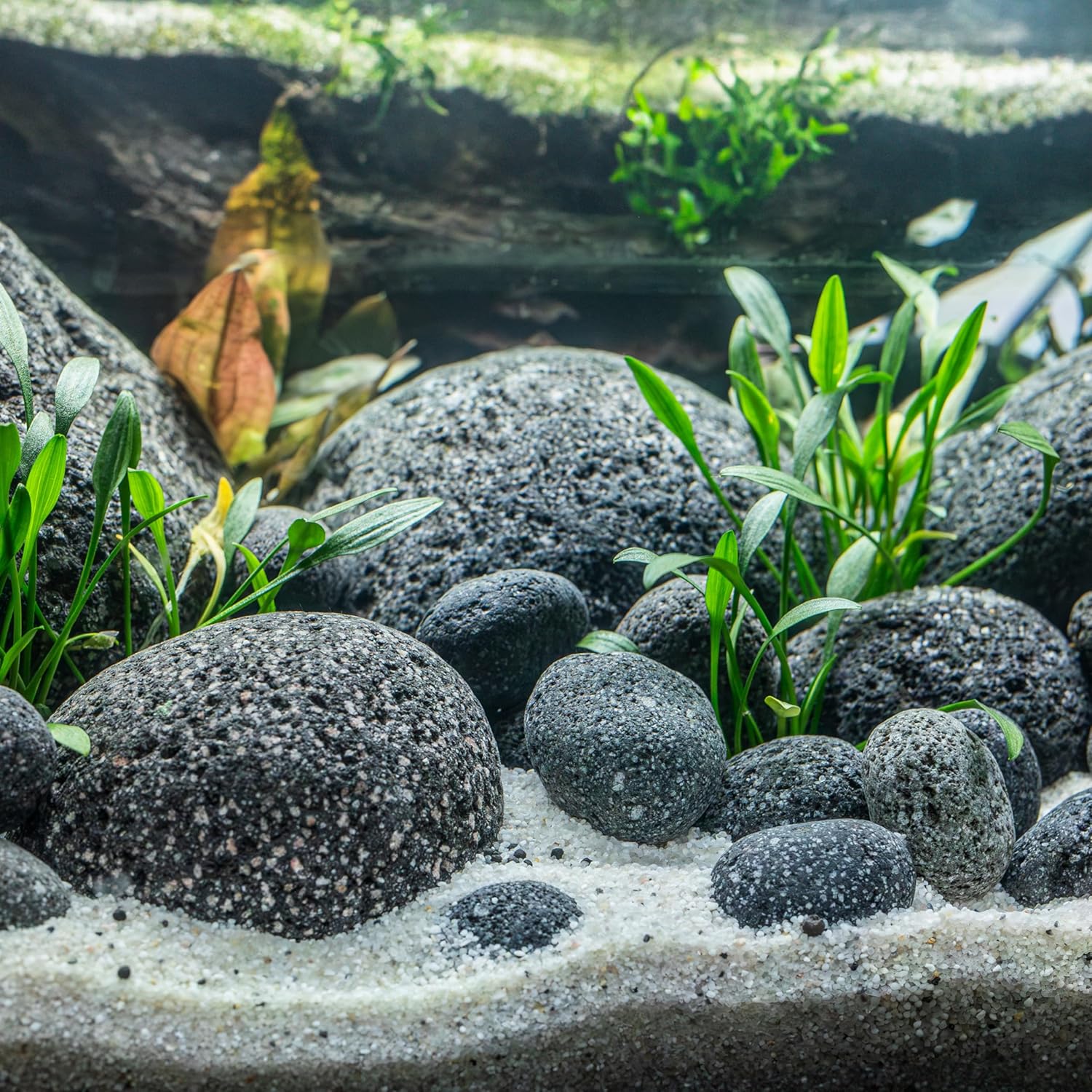 91hfEeooa+L._AC_SL1500_