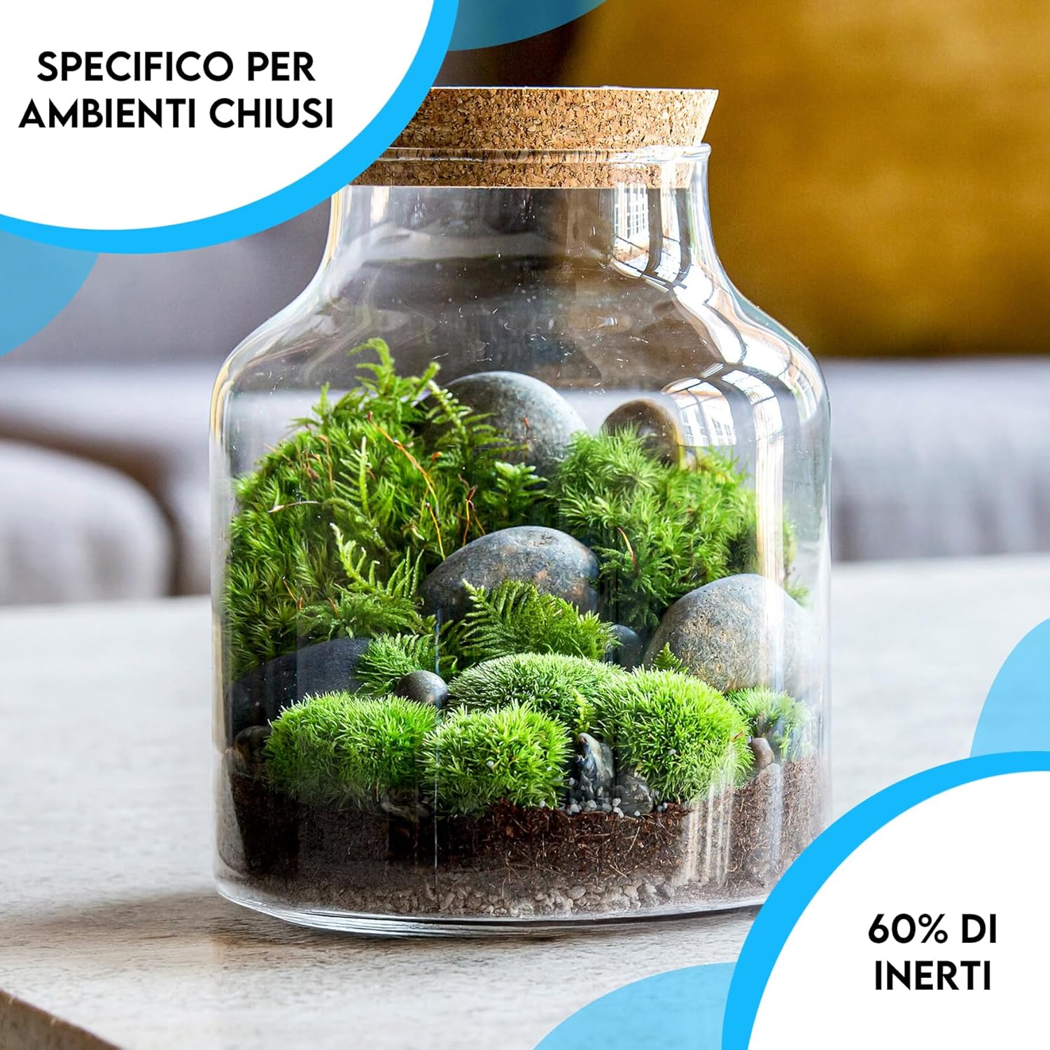 81RM5C3R4FL._AC_SL1500_
