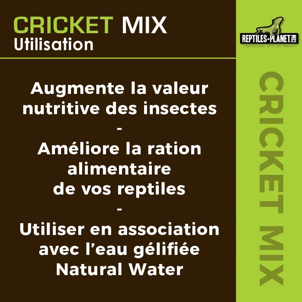 61+aiMPsc3L._AC_SL1000_