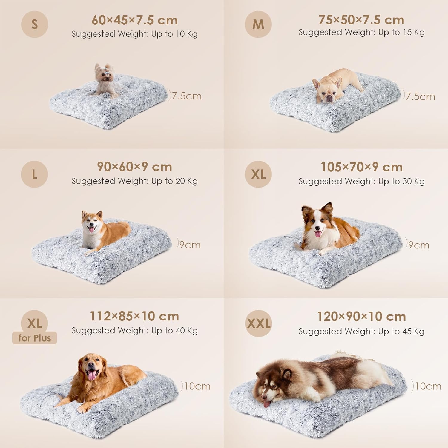 71bUiztpeDL._AC_SL1500_