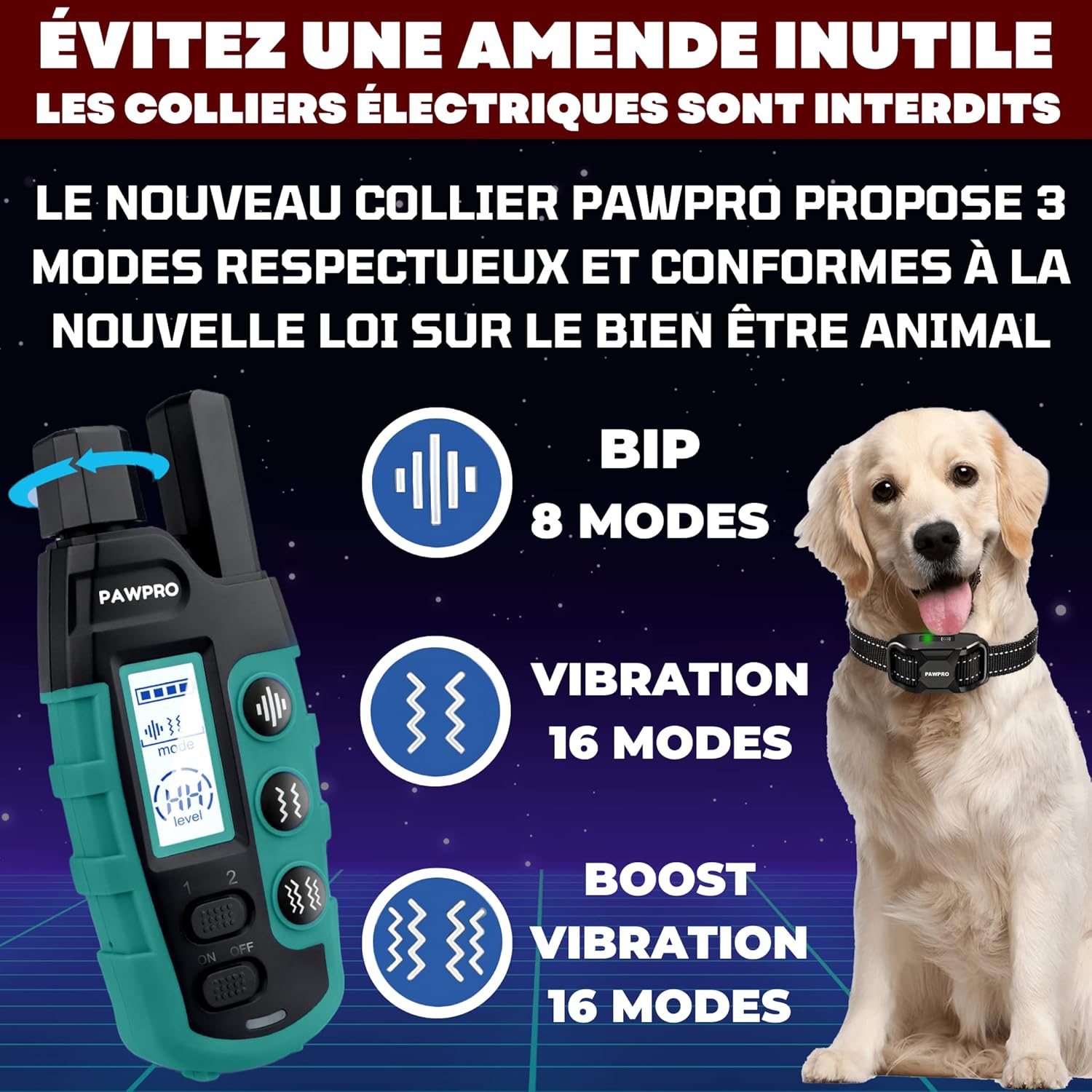 81IdvnaD9cL._AC_SL1500_