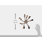 31Ka9F56roL._AC_