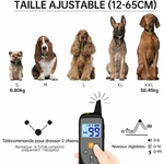 71dY0a3eQ2L._AC_SL1500_