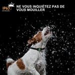 71WMzNzxnFL._AC_SL1500_