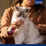 61l1n3D3x+L._AC_SL1181_