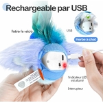 71T8BienbJL._AC_SL1447_