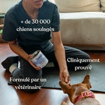 81SMJQGjrqL._AC_SL1500_
