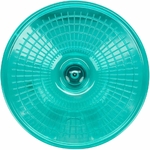61-FNx-dLkL._AC_SL1000_