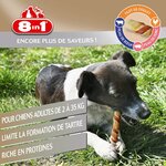 91zb6XpOIPL._AC_SL1500_