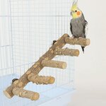 61Aa1WmxbTL._AC_SL1200_