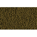 A1-Yng6-5LL._AC_SL1500_