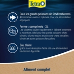 71xIg21MlqL._AC_SL1500_