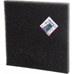 81ZtqUPu6cL._AC_SL1500_