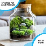 81RM5C3R4FL._AC_SL1500_