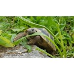 719g03SgeOL._AC_SL1440_