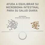 71y6iadIW3L._AC_SL1500_
